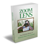 Zoom Lens