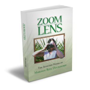 Zoom Lens